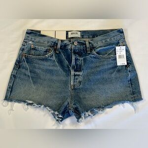 Agolde Parker Vintage Cutoff Denim Shorts